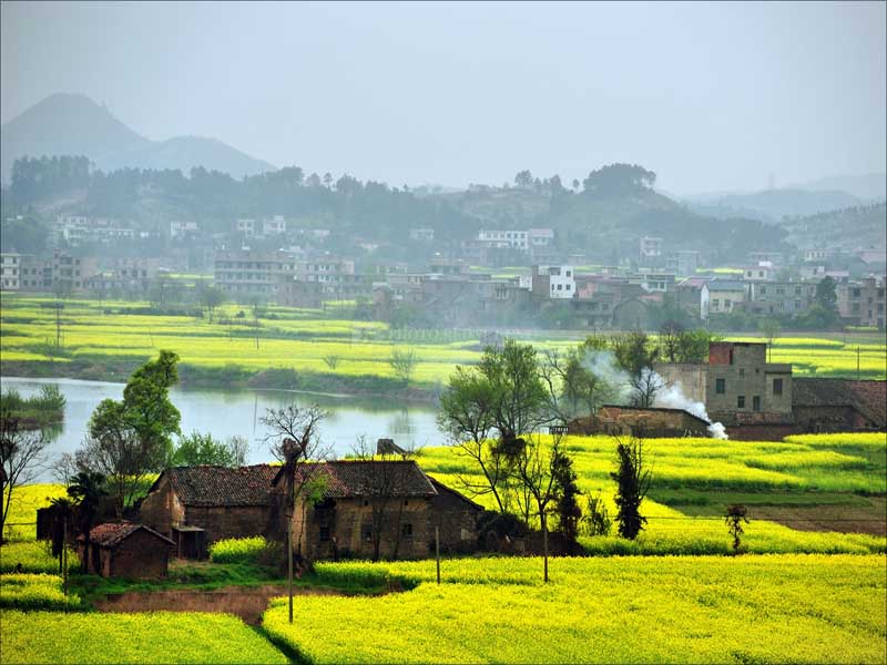農村土地綜合整治項目